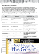 M.C. Higgins, the Great Vocabulary Activities
